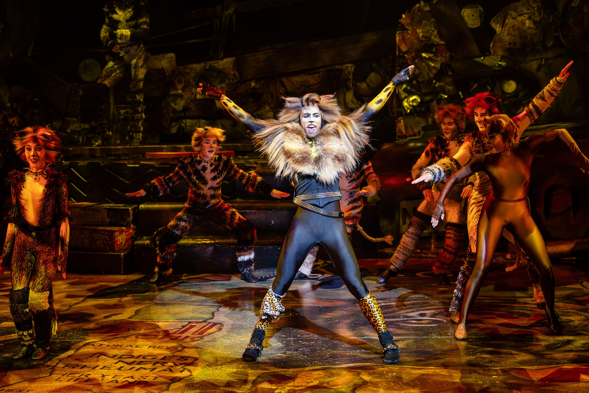 Return of the OG mega musical, Cats. 